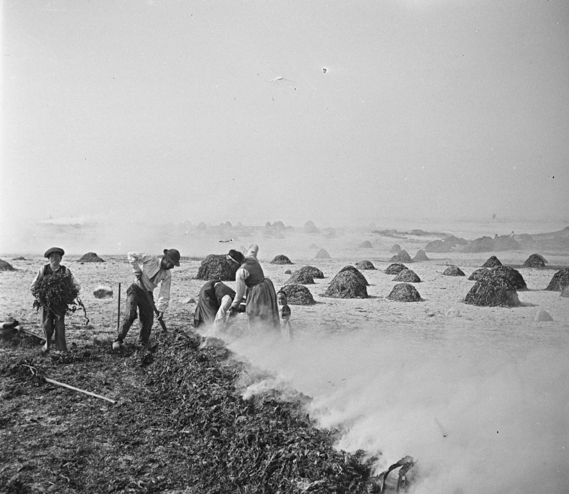 FRAD029 1NUM1 01262 (1)